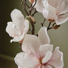 Load image into Gallery viewer, Magnolia Willow Poured Candle
